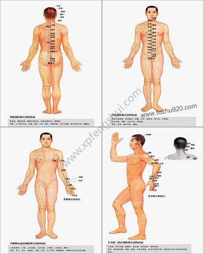 超高清版人体穴位经络大图