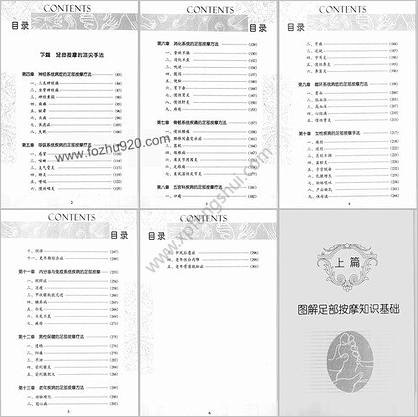 足部按摩顶尖手法与高超技巧_季雪.李建喜