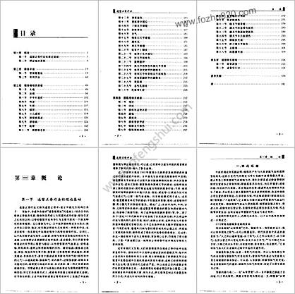 通督正脊疗法