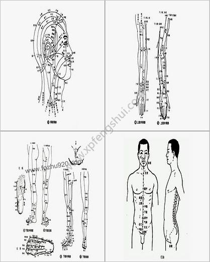 针灸图谱-人体穴位图-经络学图谱