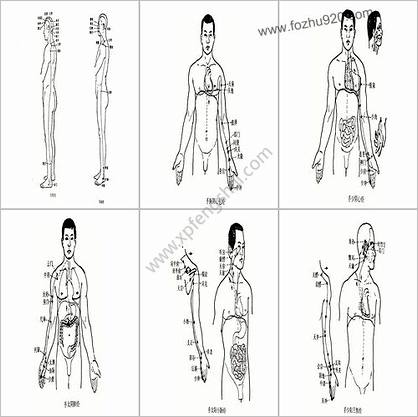 针灸图谱-人体穴位图-经络学图谱