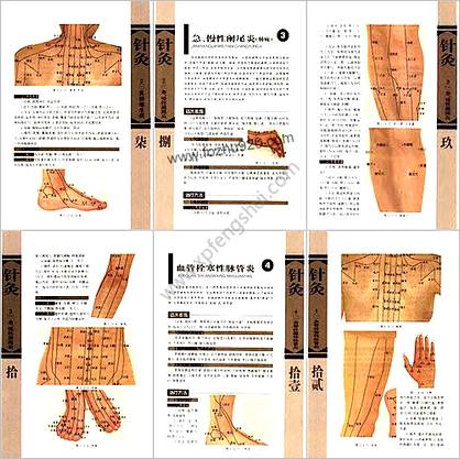 针灸治疗常见病证图解外科-皮肤科分册_张建华