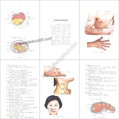 针灸穴位全真图解.超清-成子养生堂整理