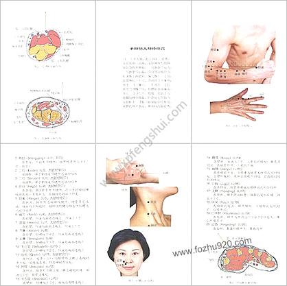 针灸穴位全真图解.超清