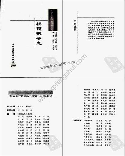 难病奇方系列丛书第三辑_桂枝茯苓丸