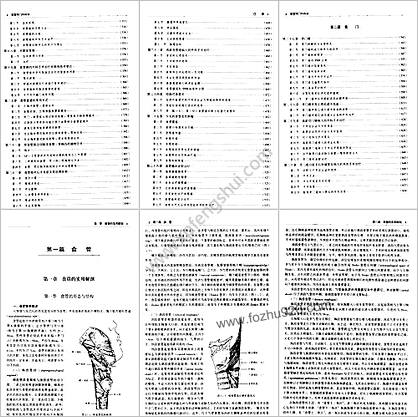 食管贲门外科学