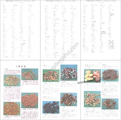 饮片图典-解密中医处方_沈连生-主编