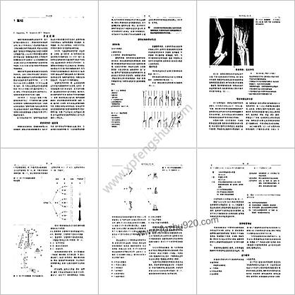 骨折与脱位图谱-诊断分型与治疗