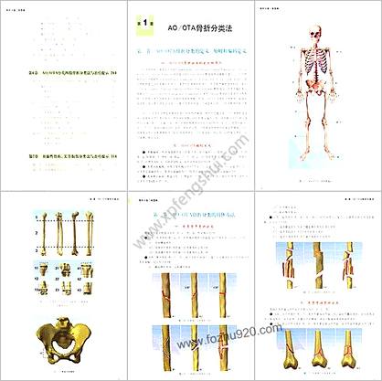 骨折分类三维图典